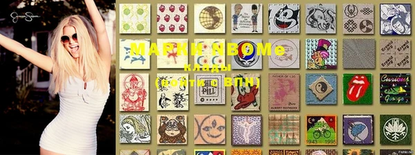 твердый Осинники