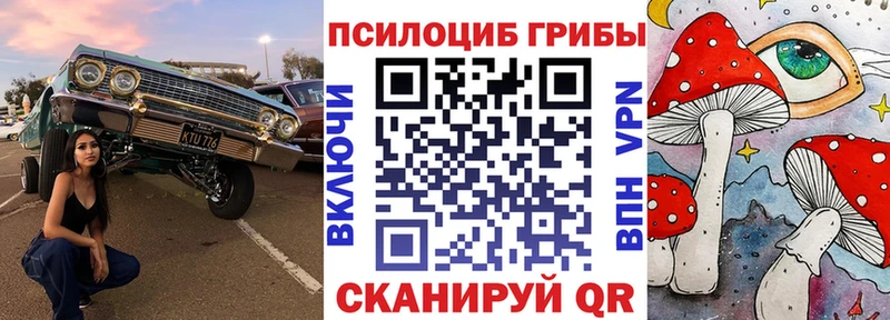 Галлюциногенные грибы GOLDEN TEACHER  Купить закладки  Стерлитамак 